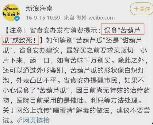 吃瓜大会作文,一场舌尖上的文化盛宴